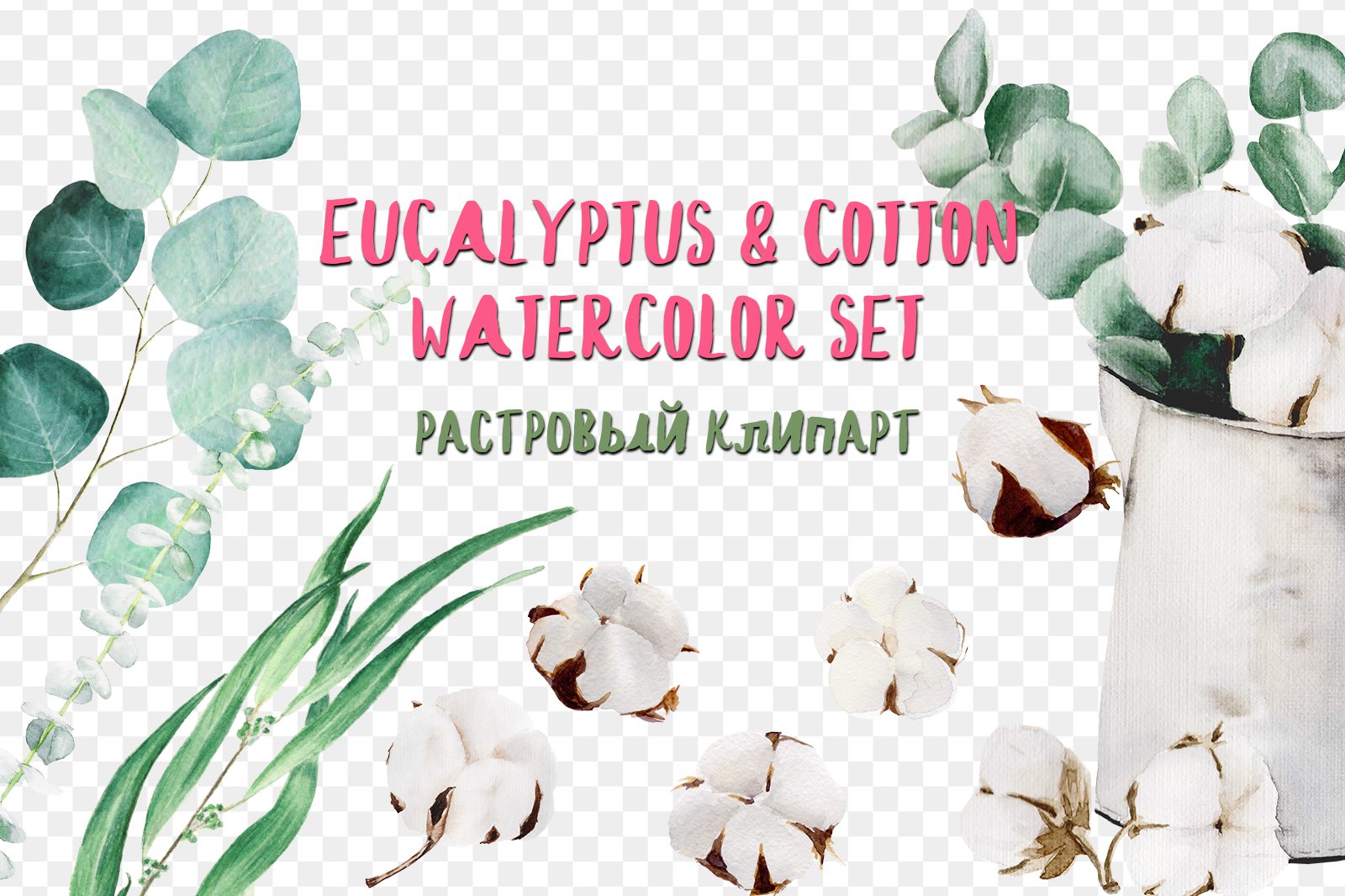 Eucalyptus & cotton watercolor set хлопок png скачать