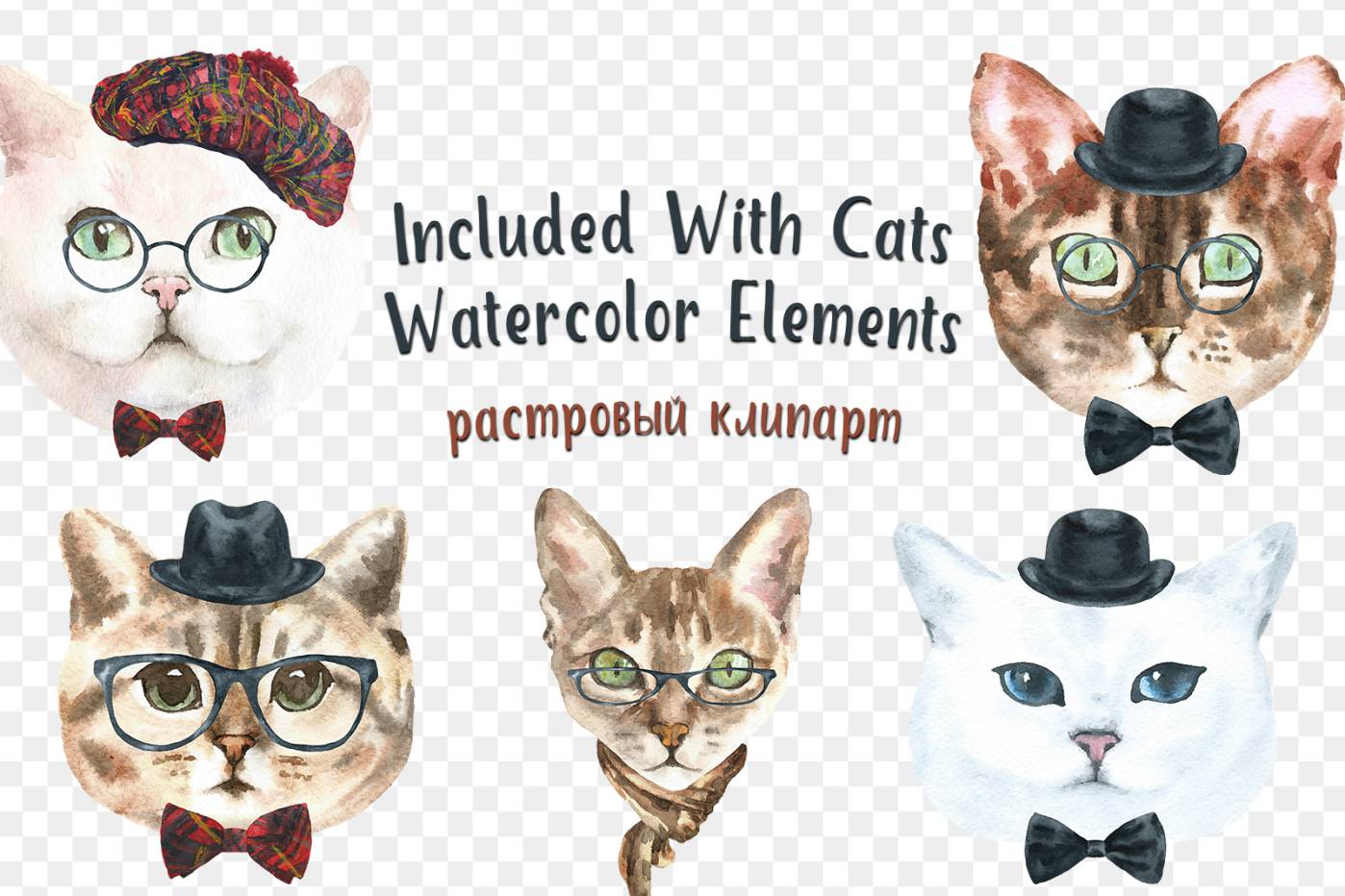 Free Cats Watercolor Elements png