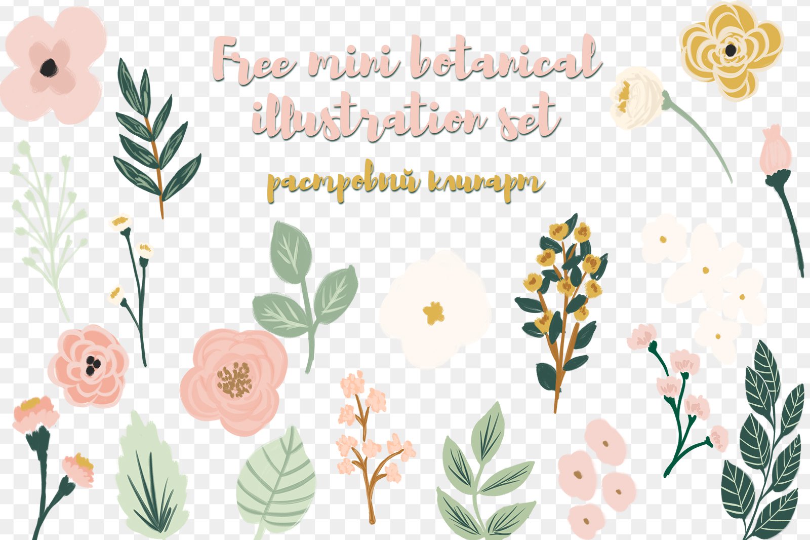 Free mini botanical illustration set растровый клипарт скачать