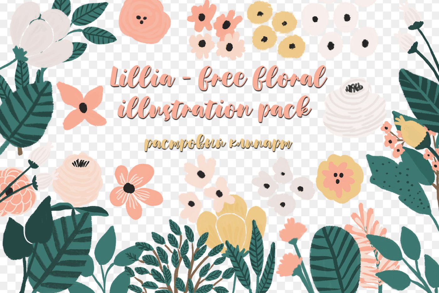 Lillia - free floral illustration pack png