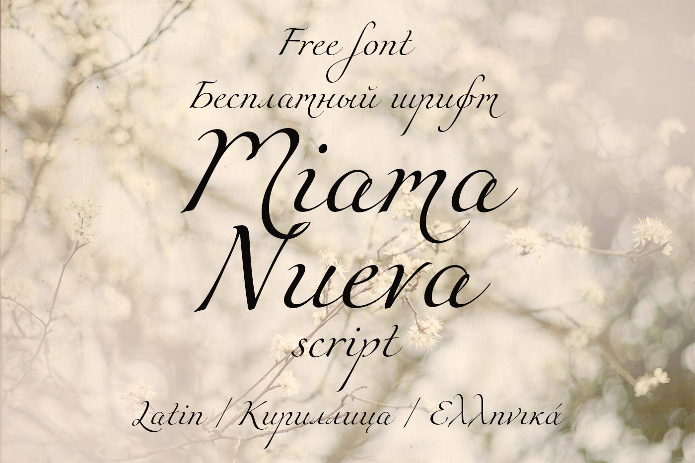 Шрифт Miama Nueva Cyrillic