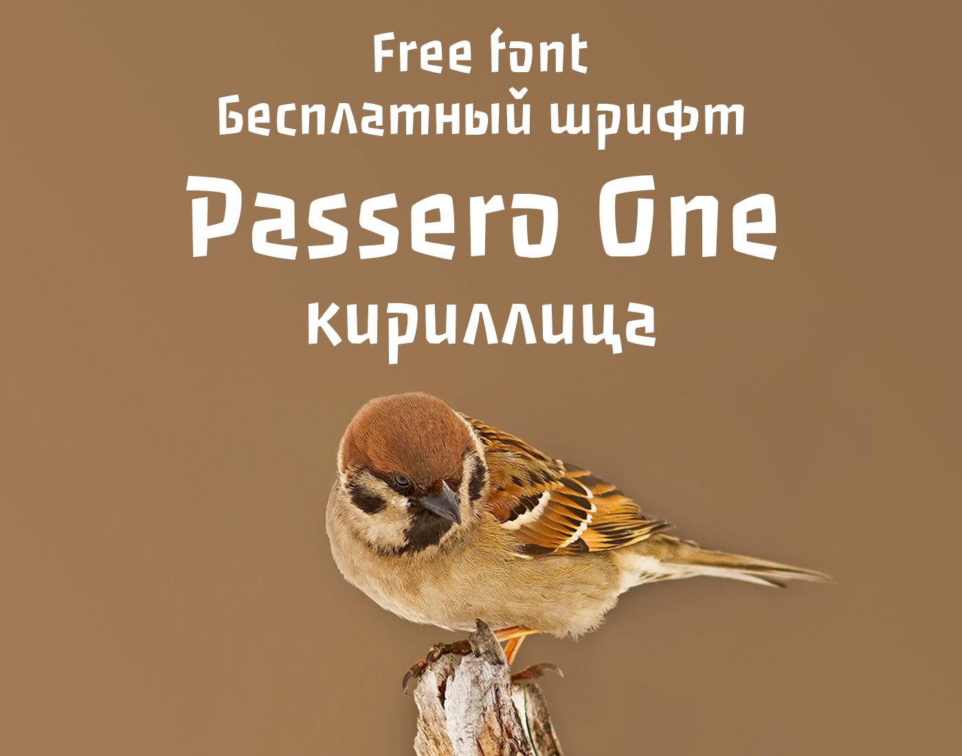 Шрифт Passero One Cyrillic