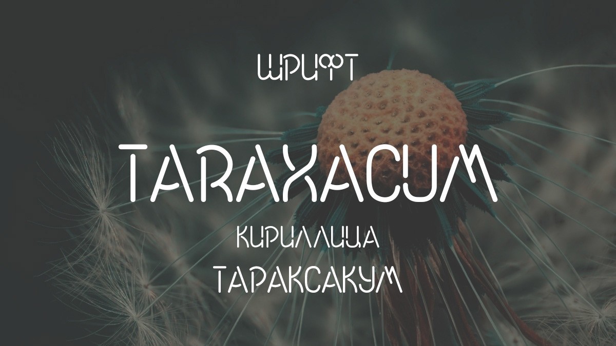 Шрифт Taraxacum Cyrillic