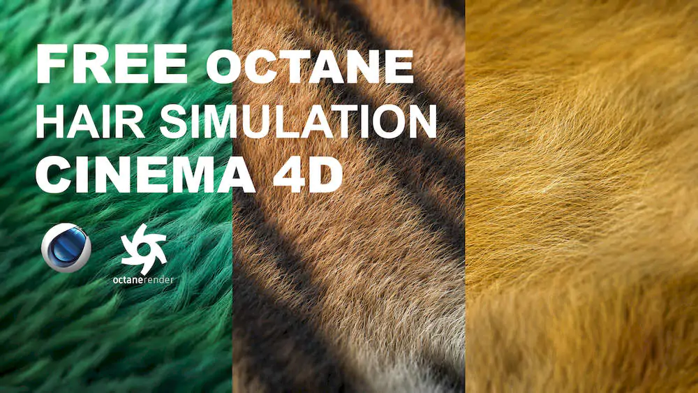 Free Octane Hair Simulation Cinema 4d